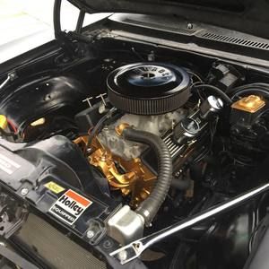 Meet your Posher, Corey